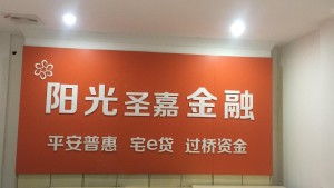 福建省莆田阳光圣嘉金融服务外包公司 专业金融外包服务的领航者